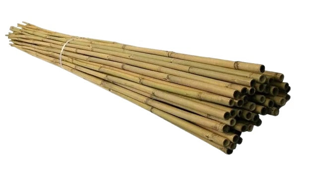 Premium Bamboo Canes (3ft, 4ft, 5ft) | Heavy Duty Garden Plant Stakes
