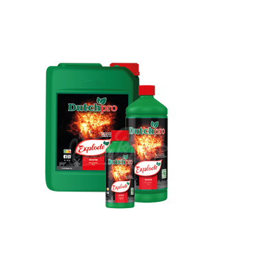 Dutchpro Explode Buds Booster | Ultimate Flowering PK Stimulator