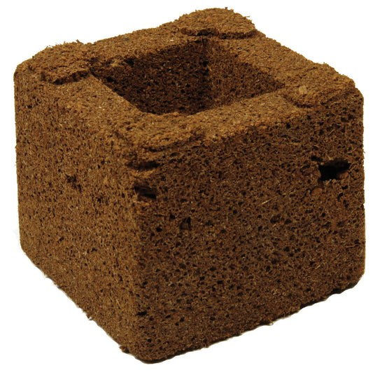 Eazy Block Organic Dry 75mm | Best Transplanting Block