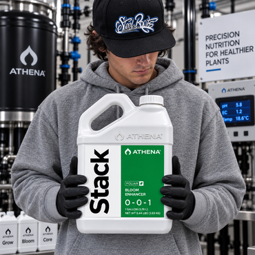A man in a gray hoodie and black cap holds a large white jerrycan of Athena Stack Bloom Enhancer. The background shows a sophisticated greenhouse automation system with tanks, pipes, and digital pH monitors.