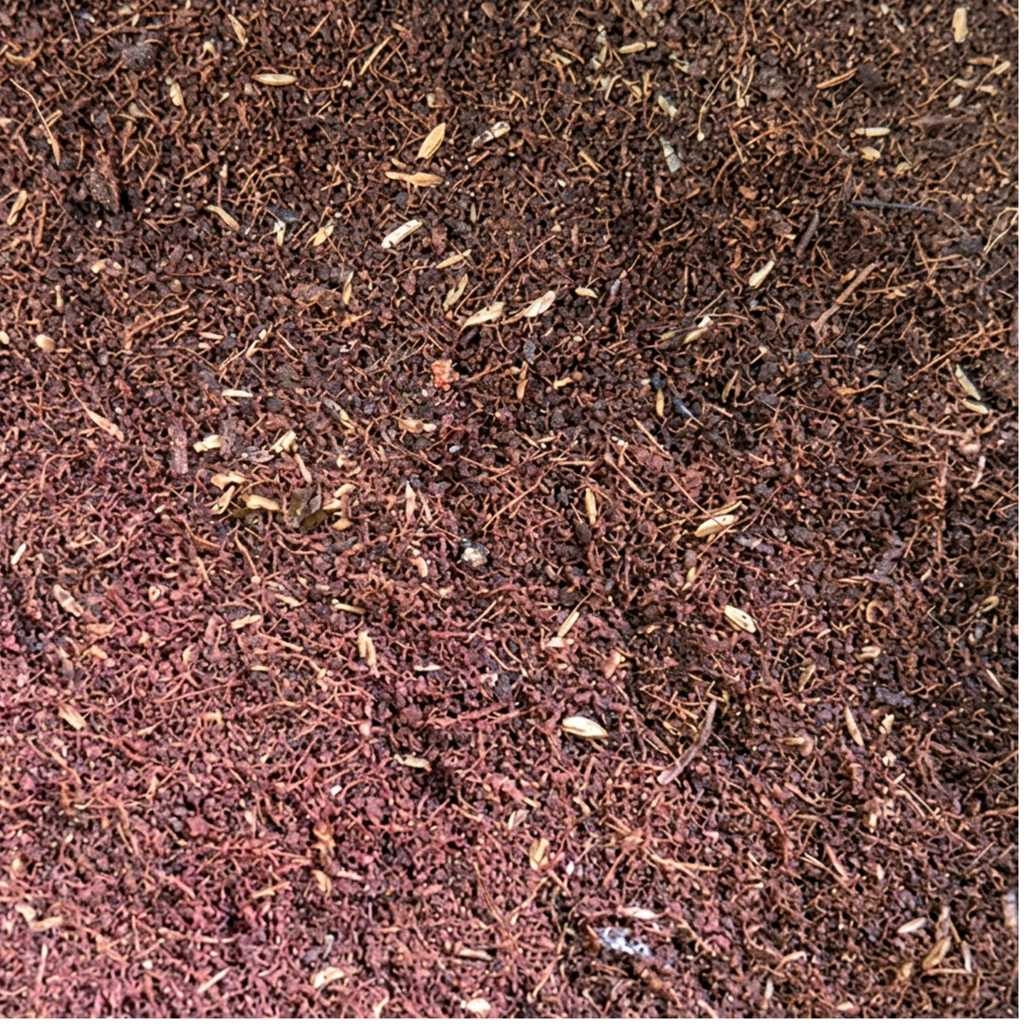 CANNA Coco Coarse Premium Aerated Substrate 50l | Sustainable Peat-Free Hydroponic Growing Medium