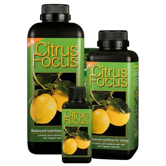 Growth Technology Citrus Focus | Liquid Citrus Tree Feed