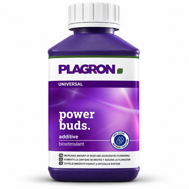 Plagron Power Buds 250 ml purple bottle with white cap on a white background.