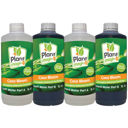 Plant Magic Coco Bloom