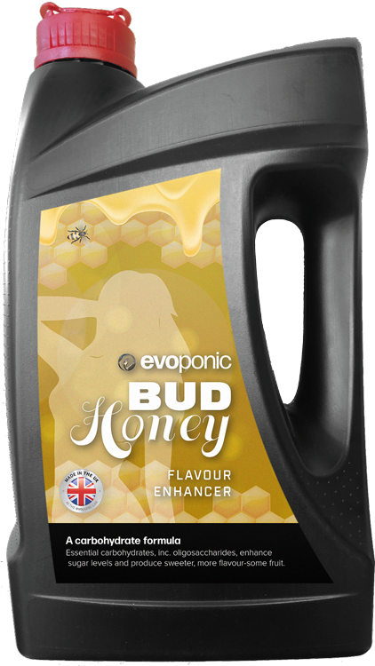 Bud Honey Carbohydrate Bio stimulant | Premium Flavour & Terpene Enhancer