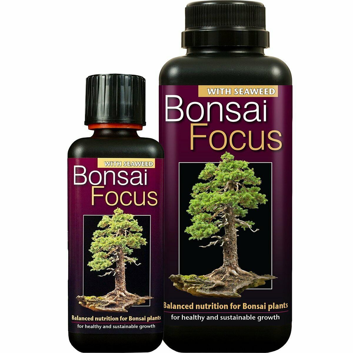 Growth Technology Bonsai Focus | Premium Liquid Fertilizer