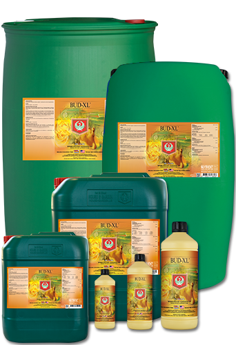 House & Garden Bud XL | Premium Flowering Stimulant