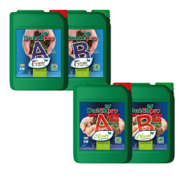Dutchpro Original Bloom A&B | High-Yield Flowering Base Feed
