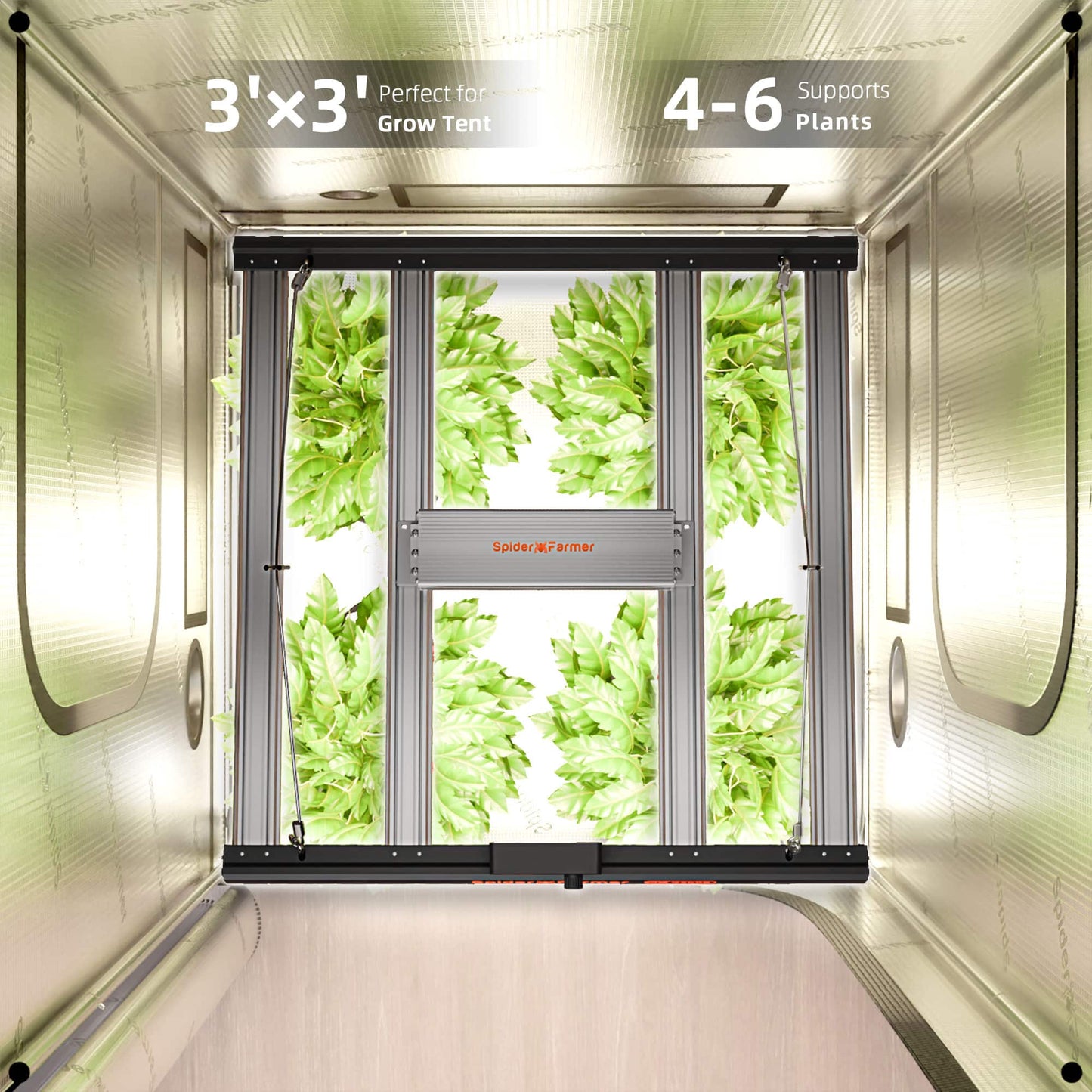 Spider Farmer G3000 Smart LED Grow Tent Kit | 90x90x180cm