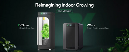 VIVOSUN VCure Smart Post-Harvest Box: Premium Herb Drying Machine & Automated Curing Box