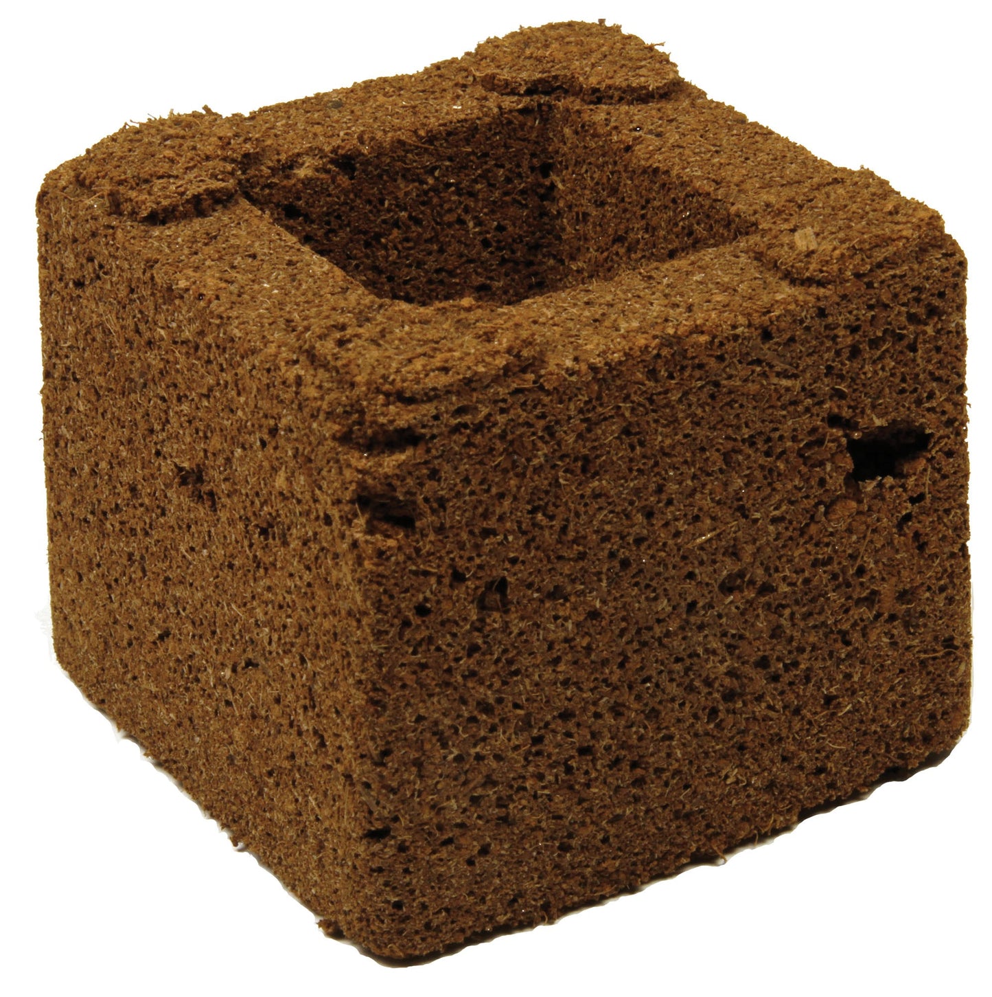 Eazy Block Organic Dry 75mm | Best Transplanting Block