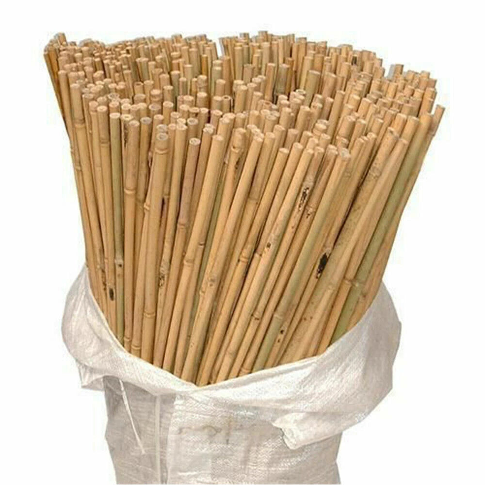 Premium Bamboo Canes (3ft, 4ft, 5ft) | Heavy Duty Garden Plant Stakes