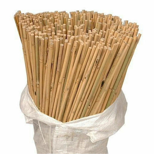 Premium Bamboo Canes (3ft, 4ft, 5ft) | Heavy Duty Garden Plant Stakes