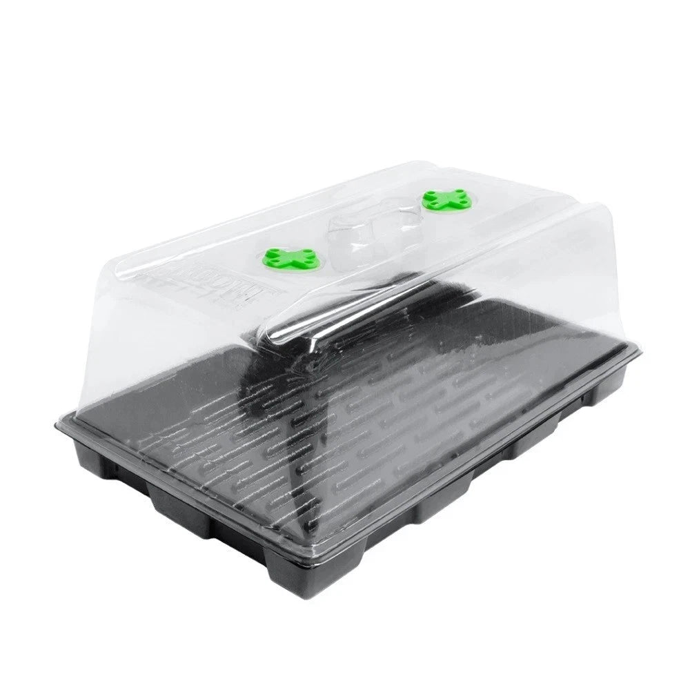 ROOT!T Large Value Propagator Tray & Lid | Seedling Cutting Propagation Kit