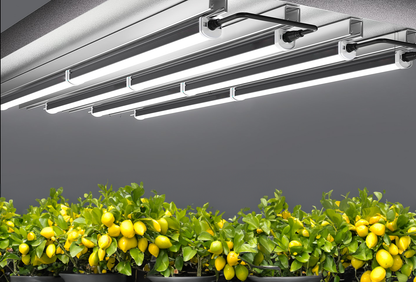 Aether 120W Under Canopy LED Lights (Boxed Pair) | Complete Grow Kit with Power Lead