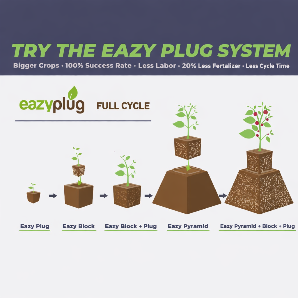 Eazy Pyramid Organic Dry | Potless Hydroponic Growing Block