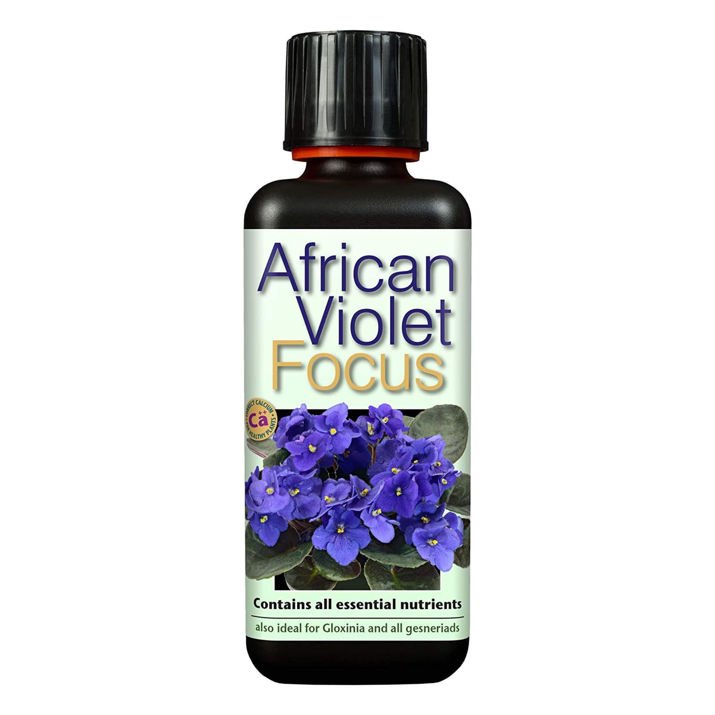 Growth Technology African Violet Focus | Premium Liquid Flower Feed & Gesneriad Fertilizer