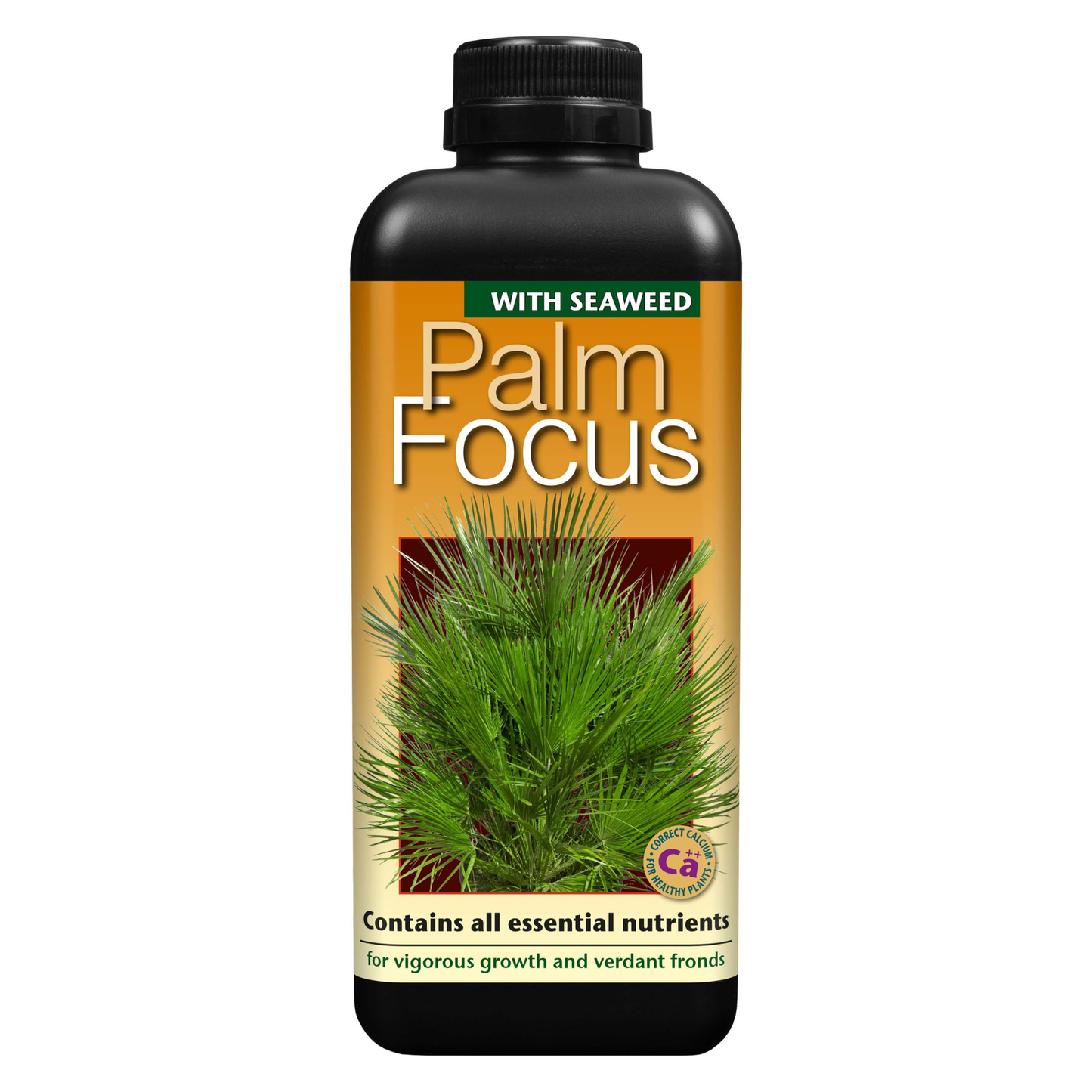 Growth Technology Palm Focus | Premium Liquid Palm Feed