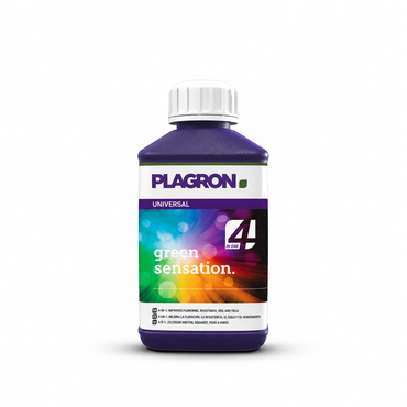 Plagron Green Sensation 250 ml purple bottle on a white background