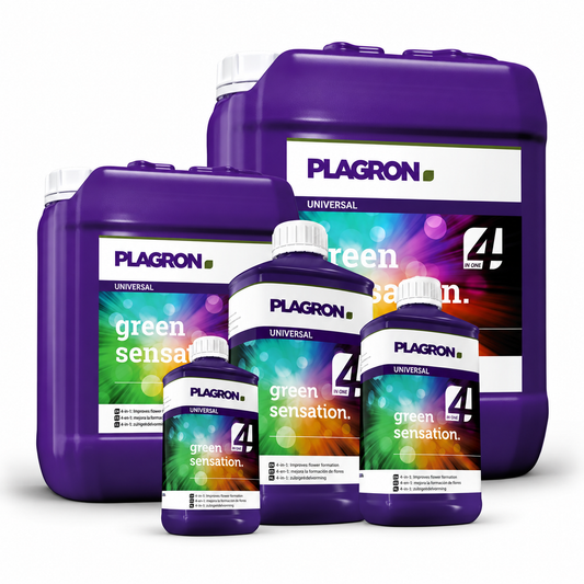 Plagron Green Sensation bottles and canisters displayed together on a white background