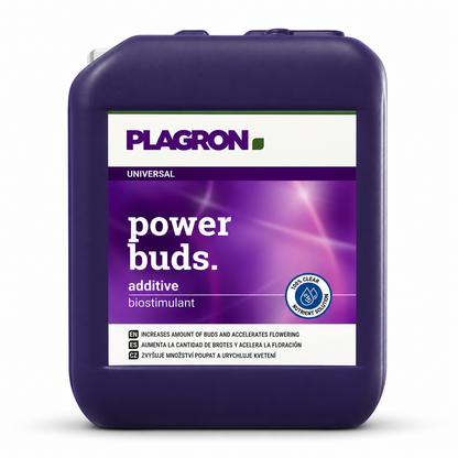 Plagron Power Buds 5 litre purple jerrycan on a white background