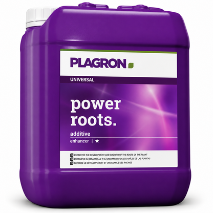Plagron Power Roots 5 litre purple jerrycan on a white background.
