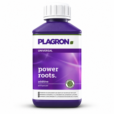 Plagron Power Roots 250 ml purple bottle with white cap on a white background.