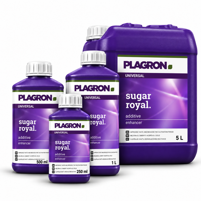 Plagron Sugar Royal 250 ml, 500 ml and 1 litre bottles alongside the 5 litre purple jerrycan on a white background.