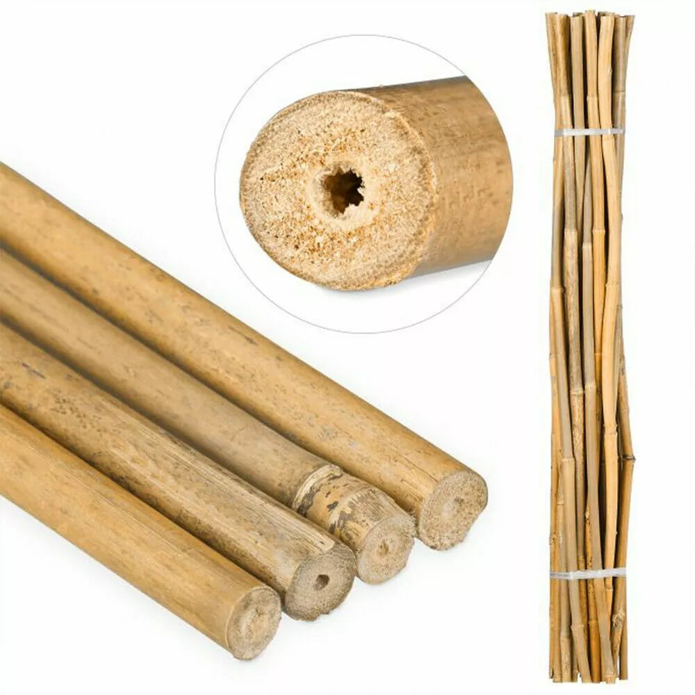 Premium Bamboo Canes (3ft, 4ft, 5ft) | Heavy Duty Garden Plant Stakes