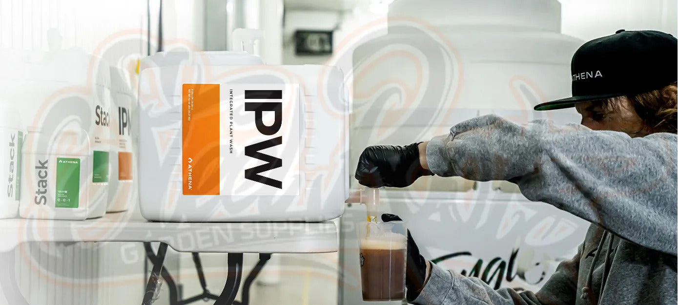 Athena IPW Pest Control Concentrate | Natural Hydroponics Formula?????