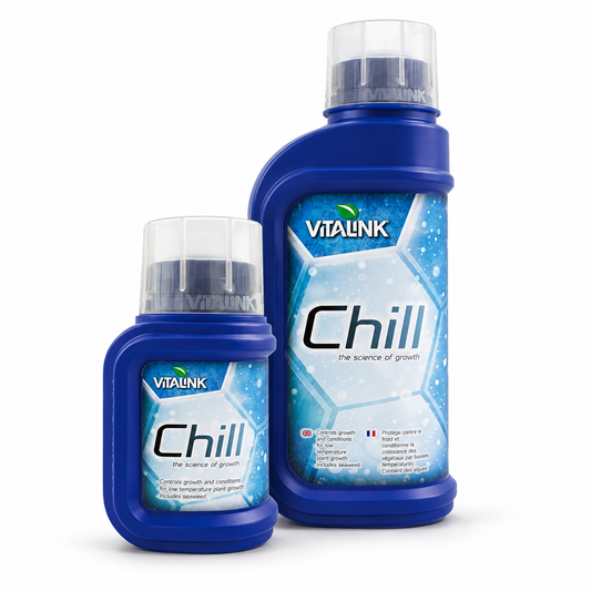 VitaLink Chill 250ml and 1 litre bottles together