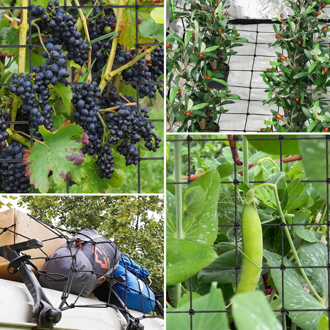 Vivosun Heavy-Duty Elastic Trellis Netting with 4 Hooks | Flexible Scrog Support Net for Grow Tents & Greenhouses