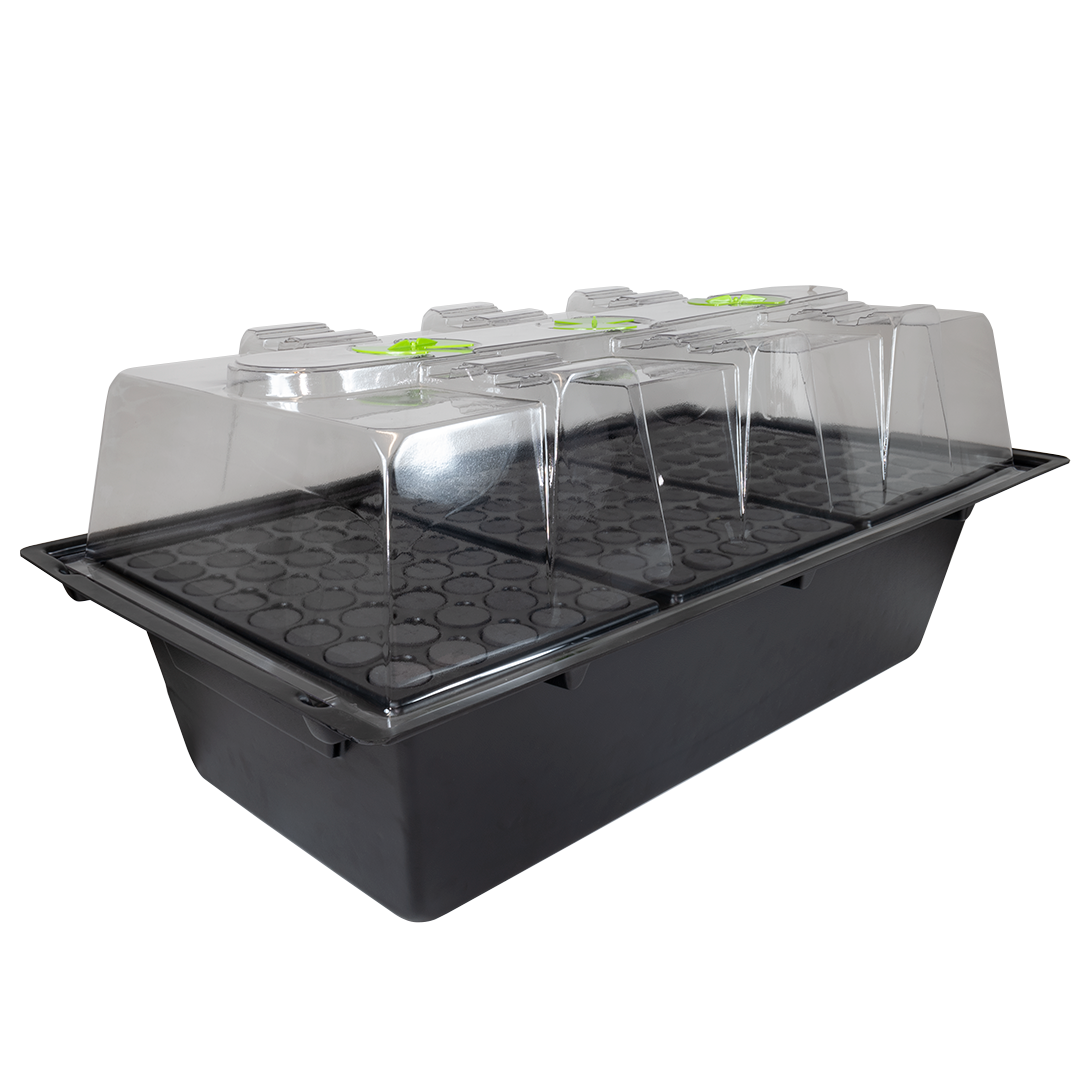 X-Stream Aeroponic Propagator | Rapid Rooting System for Cuttings