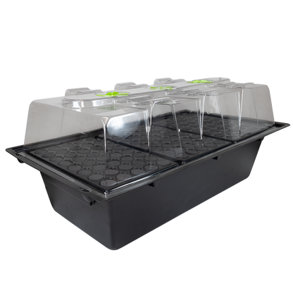 X-Stream Aeroponic Propagator | Rapid Rooting System for Cuttings