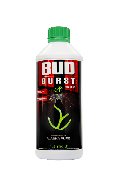 Nutrifield Bud Burst Flowering Booster | Premium Kelp Bloom Activator
