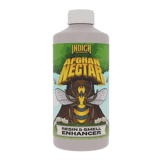 Indica Afghan Nectar