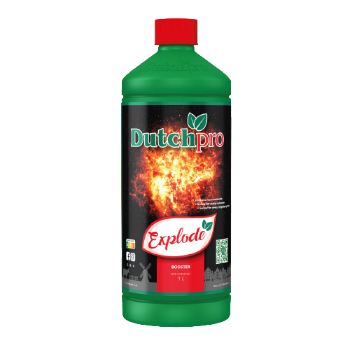 Dutchpro Explode Buds Booster | Ultimate Flowering PK Stimulator
