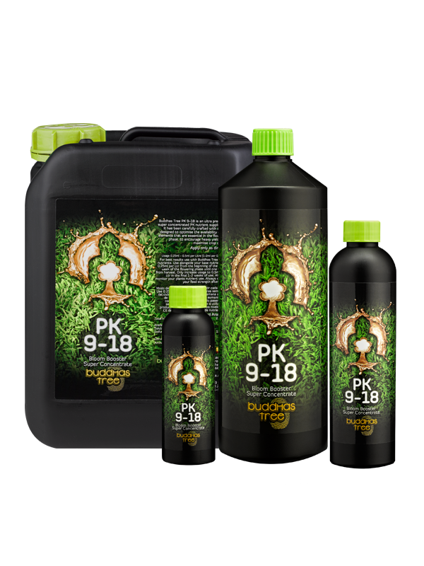 Buddhas Tree PK9-18