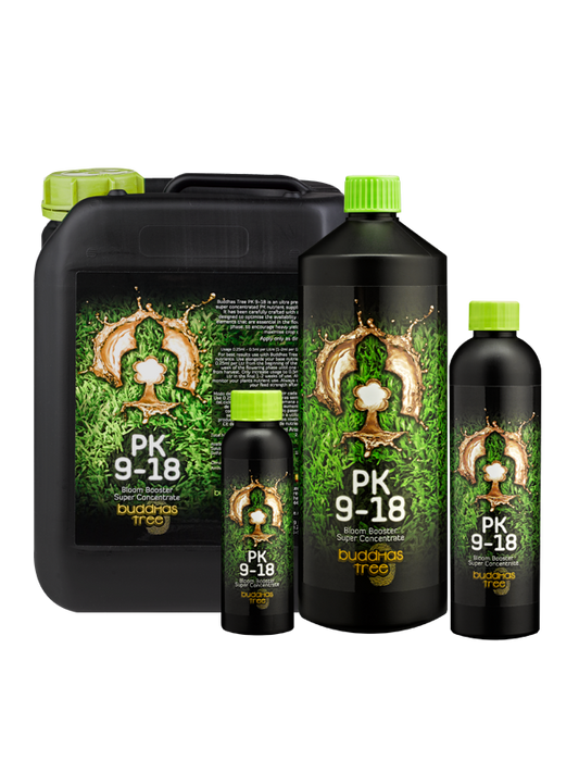Buddhas Tree PK9-18