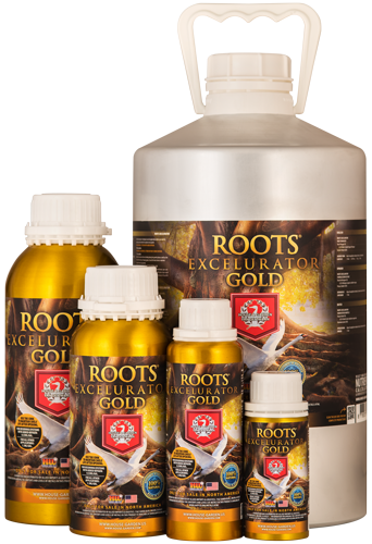 House & Garden Roots Accelerator | Elite Root Booster