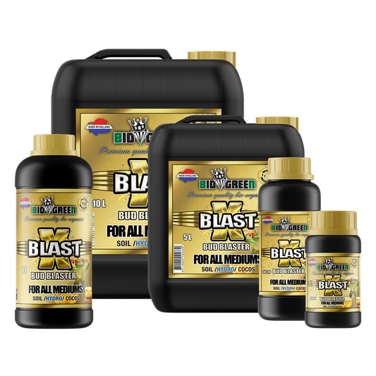 Biogreen X Blast