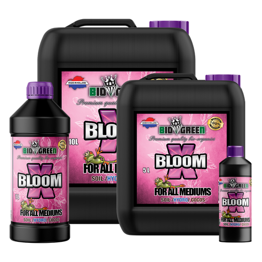 Biogreen X Bloom