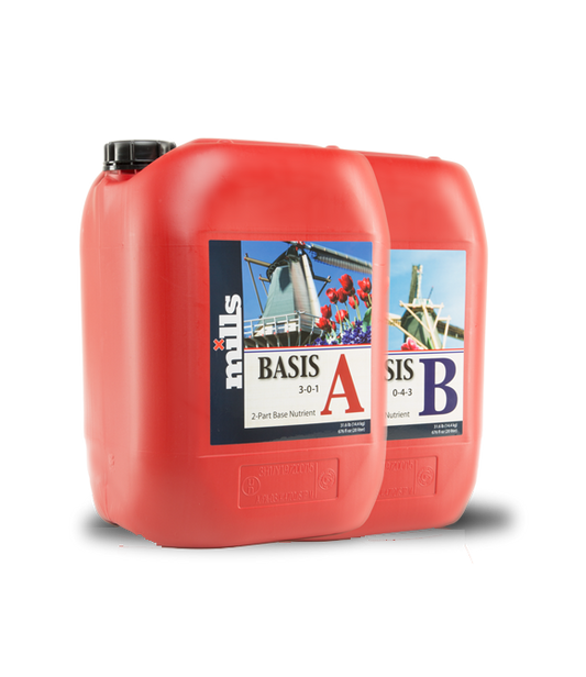 Mills Basis A&B