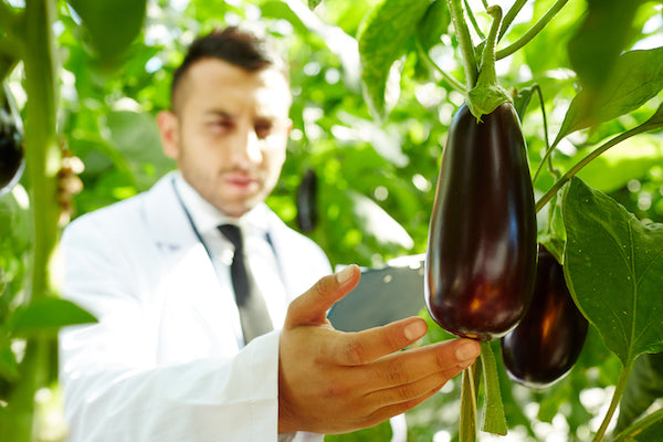 Optic Foliar Overgrow | Full Spectrum Foliar Spray
