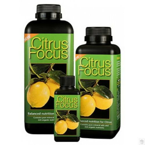 Growth Technology Citrus Focus | Liquid Citrus Tree Feed