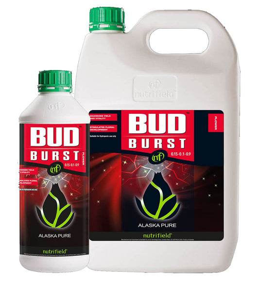 Nutrifield Bud Burst Flowering Booster | Premium Kelp Bloom Activator