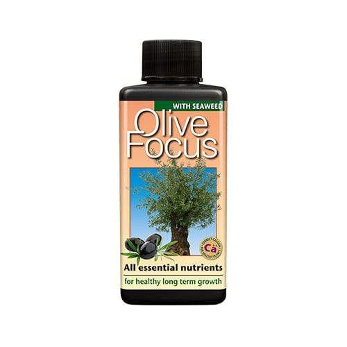 Growth Technology Olive Focus | Premium Olive Tree Feed