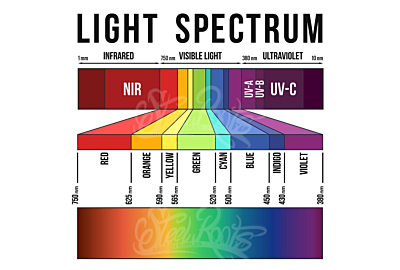 Illuminating Growth: Harnessing Spectrum-Specific Inter Crop Lighting for Enhanced Yield and Pest Management
