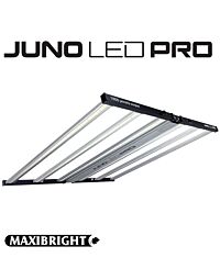 Maxibright JUNO LED PRO 720w