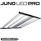 Maxibright JUNO LED PRO 720w